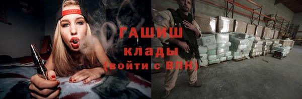 индика Сатка