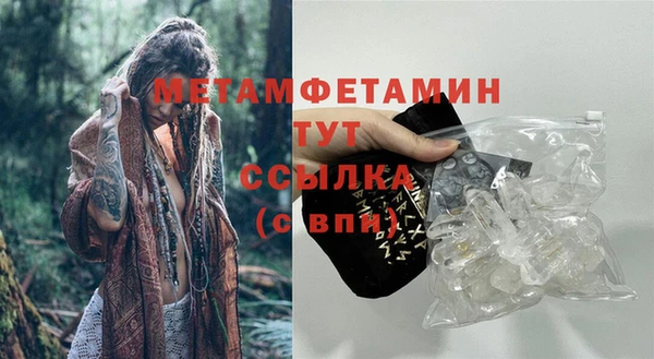 индика Сатка